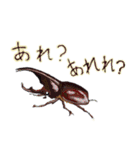 カブトムシ・クワガタスタンプ（個別スタンプ：2）