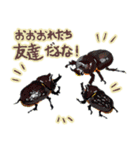 カブトムシ・クワガタスタンプ（個別スタンプ：5）