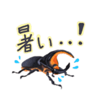 カブトムシ・クワガタスタンプ（個別スタンプ：11）