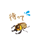 カブトムシ・クワガタスタンプ（個別スタンプ：14）