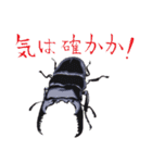 カブトムシ・クワガタスタンプ（個別スタンプ：21）