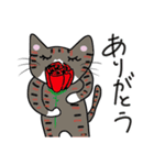 よく使う言葉(我が家の猫たち）（個別スタンプ：17）