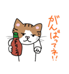 よく使う言葉(我が家の猫たち）（個別スタンプ：20）