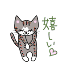 よく使う言葉(我が家の猫たち）（個別スタンプ：22）