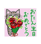 よく使う言葉(我が家の猫たち）（個別スタンプ：27）