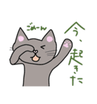 よく使う言葉(我が家の猫たち）（個別スタンプ：31）