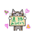 よく使う言葉(我が家の猫たち）（個別スタンプ：37）