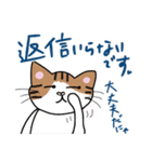 よく使う言葉(我が家の猫たち）（個別スタンプ：40）