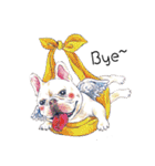 Bonbonfrenchie funny stickers（個別スタンプ：1）