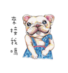 Bonbonfrenchie funny stickers（個別スタンプ：3）