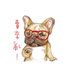 Bonbonfrenchie funny stickers（個別スタンプ：4）