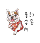 Bonbonfrenchie funny stickers（個別スタンプ：22）