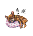 Bonbonfrenchie funny stickers（個別スタンプ：24）