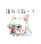 Bonbonfrenchie funny stickers（個別スタンプ：25）