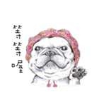 Bonbonfrenchie funny stickers（個別スタンプ：26）