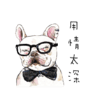 Bonbonfrenchie funny stickers（個別スタンプ：39）