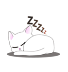 White Cat Lady（個別スタンプ：8）