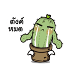The Cactus Playground Gang（個別スタンプ：24）