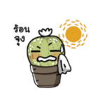 The Cactus Playground Gang（個別スタンプ：37）