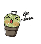 The Cactus Playground Gang（個別スタンプ：38）