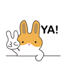 A pu bunny（個別スタンプ：6）
