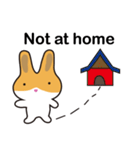 A pu bunny（個別スタンプ：20）