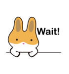 A pu bunny（個別スタンプ：27）