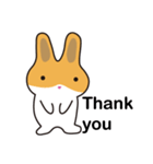 A pu bunny（個別スタンプ：31）
