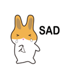 A pu bunny（個別スタンプ：37）