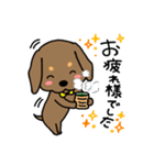 Life of the dachshund（個別スタンプ：2）