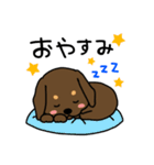 Life of the dachshund（個別スタンプ：3）