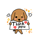 Life of the dachshund（個別スタンプ：4）
