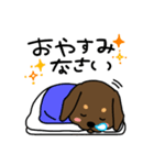 Life of the dachshund（個別スタンプ：5）
