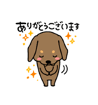 Life of the dachshund（個別スタンプ：6）