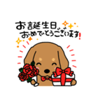 Life of the dachshund（個別スタンプ：7）