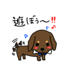 Life of the dachshund（個別スタンプ：8）