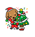 Life of the dachshund（個別スタンプ：12）