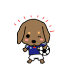 Life of the dachshund（個別スタンプ：13）