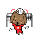 Life of the dachshund（個別スタンプ：17）