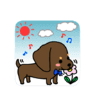 Life of the dachshund（個別スタンプ：18）