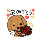 Life of the dachshund（個別スタンプ：20）