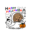 Life of the dachshund（個別スタンプ：24）
