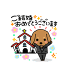 Life of the dachshund（個別スタンプ：25）