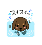 Life of the dachshund（個別スタンプ：26）