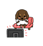 Life of the dachshund（個別スタンプ：27）