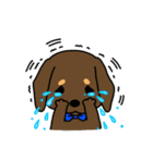 Life of the dachshund（個別スタンプ：29）