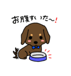 Life of the dachshund（個別スタンプ：31）