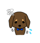 Life of the dachshund（個別スタンプ：32）