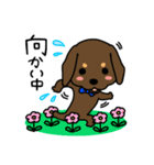 Life of the dachshund（個別スタンプ：34）