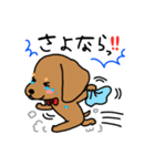Life of the dachshund（個別スタンプ：37）